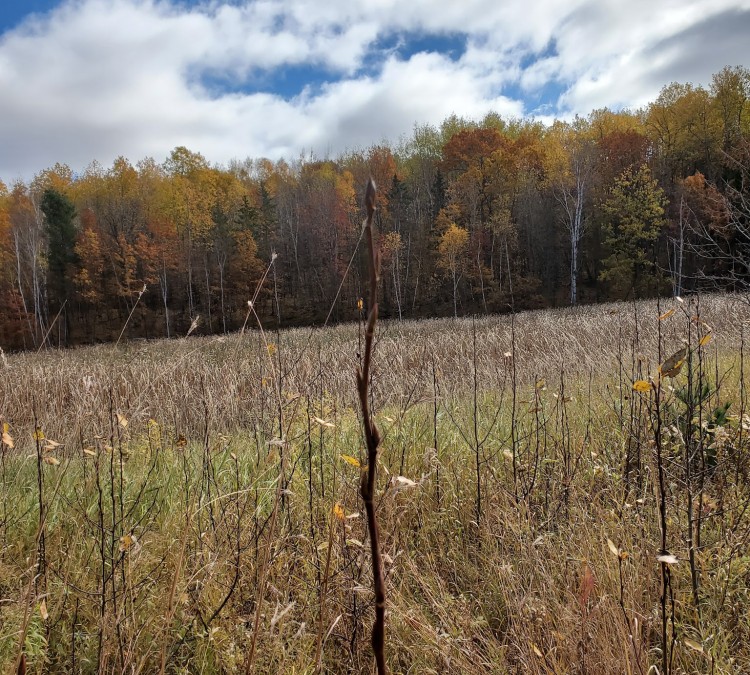 North Country Trail / Hubbel Pond WMA parking (Detroit&nbspLakes,&nbspMN)